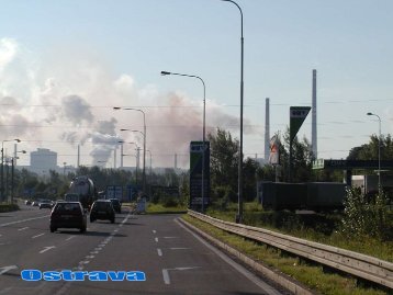 Occupational exposure to chemicals. Toxic and genotoxic effects