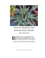 unusual tropicals and annuals sale catalog - The Scott Arboretum of ...