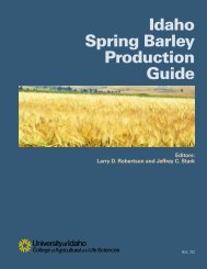 Robust Six-Row Pearling Grain Seeds Organic Malting Barley Seed 1oz - 8oz