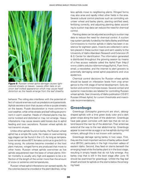 Spring Barley Production Guide - College of Agricultural and Life ...