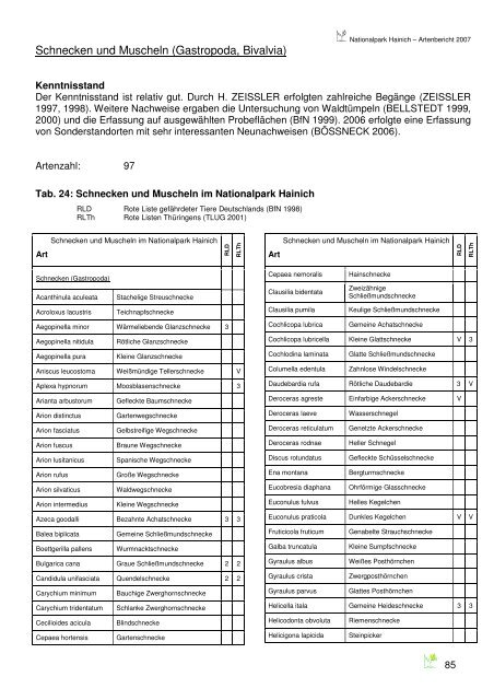 Artenbericht 2007 - Nationalpark Hainich