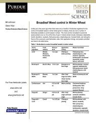 Broadleaf Control in Winter Wheat - Purdue University Botany and ...