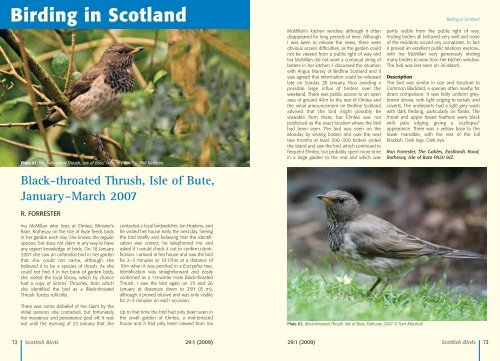 *SCOTTISH BIRDS (29) TXT AW - The Scottish Ornithologists' Club