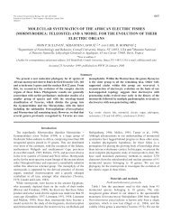 Molecular systematics of African electric fishes - The Journal of ...