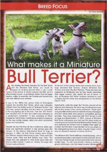 PDF of 2.8MB - Miniature Bull Terrier Network