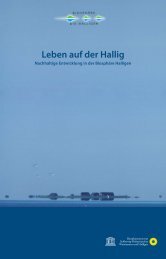 NFH Nachhaltigkeitsstudie-Text_BEL.indd - Die Halligen