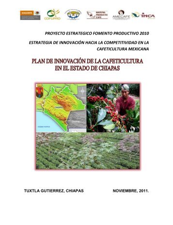 Plan de Innovación Chiapas - amecafé