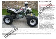 Der Bashan 250s-11b - STOEWER-QUAD