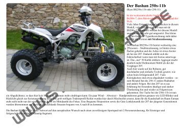 Der Bashan 250s-11b - STOEWER-QUAD