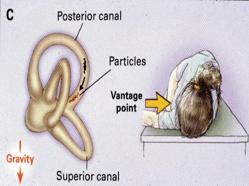 Dizziness in the Elderly-MARTIN SAMUELS.pdf - CCEHS