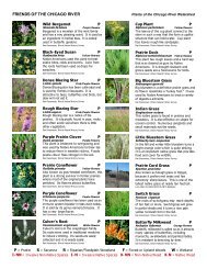 Plants of the Chicago River Watershed - Friends  of the Chicago River