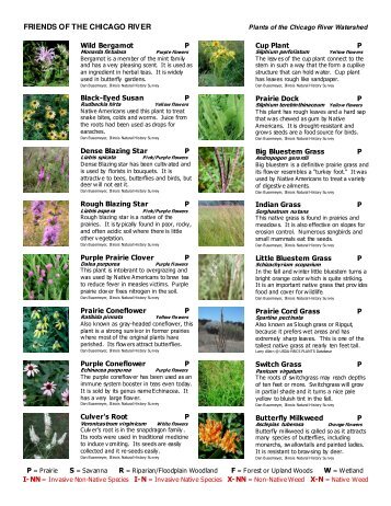 Plants of the Chicago River Watershed - Friends  of the Chicago River