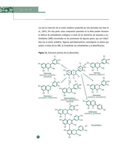 Biodisponibilidad de los flavonoides de la ... - Cerveza y Salud