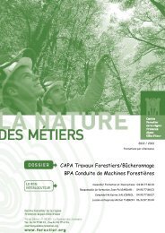 CAPA Travaux Forestiers/Bûcheronnage - Le Centre Forestier de la ...