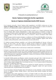 protocollo operativo - FidoMicio - Provincia di Ancona