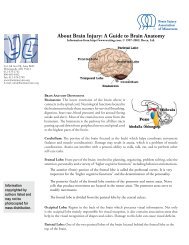 About Brain Injury: A Guide to Brain Anatomy