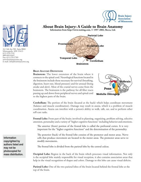 About Brain Injury: A Guide to Brain Anatomy