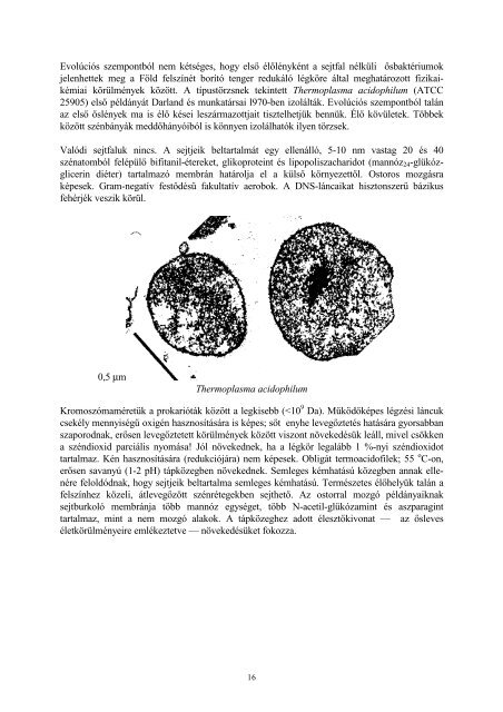 BScmikrobifiziologia.pdf - BiomÃ©rnÃ¶ki TanszÃ©k - Debreceni Egyetem