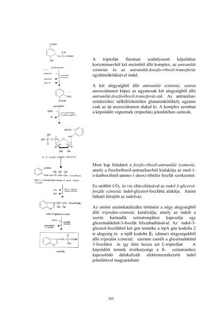 BScmikrobifiziologia.pdf - BiomÃ©rnÃ¶ki TanszÃ©k - Debreceni Egyetem