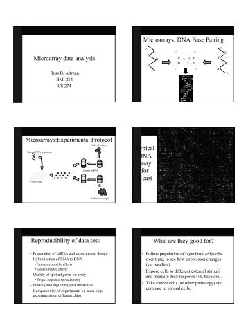 Microarray data analysis Microarrays: DNA Base Pairing Typical ...