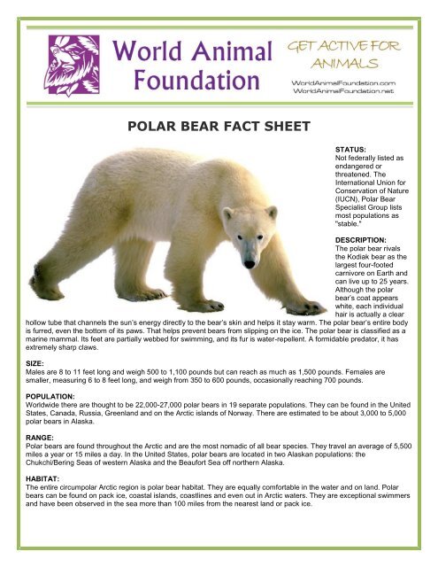 POLAR BEAR FACT SHEET - World Animal Foundation