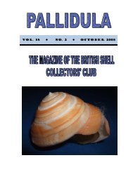 VOL. 38 NO. 2 OCTOBER 2008 - British Shell Collectors' Club