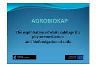 The exploitation of white cabbage for phytoremediation and ...