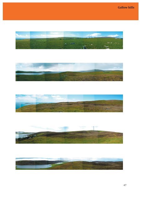 TAP Field Report No. 5 A survey of Shetland's gallow hills Joris ...