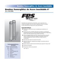 Bombas Sumergibles de Acero Inoxidable 6