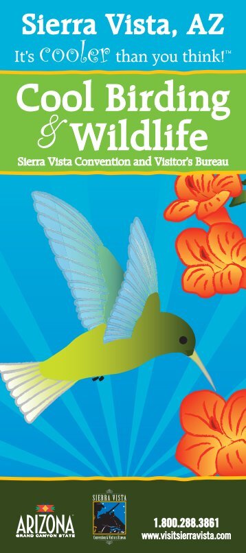 Cool Birding Brochure - The Sierra Vista Convention and Visitors ...