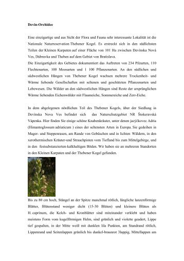 Orchidee in Theben de.pdf - Danube Networkers