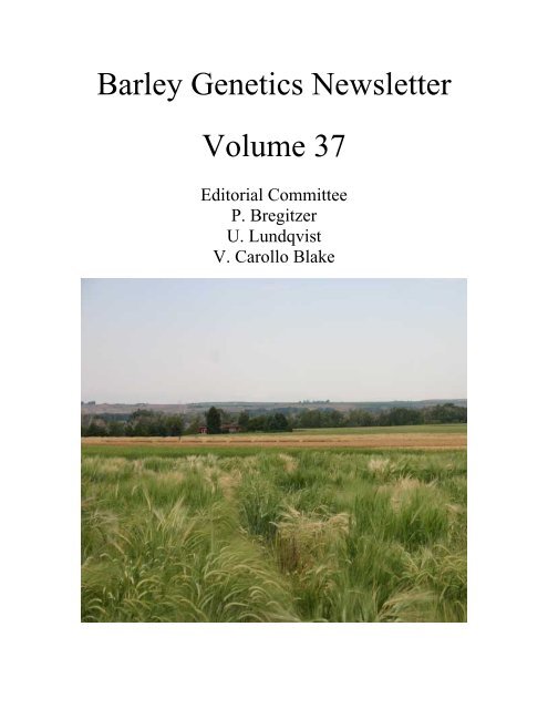 BARLEY GENETICS NEWSLETTER - GrainGenes - US Department ...