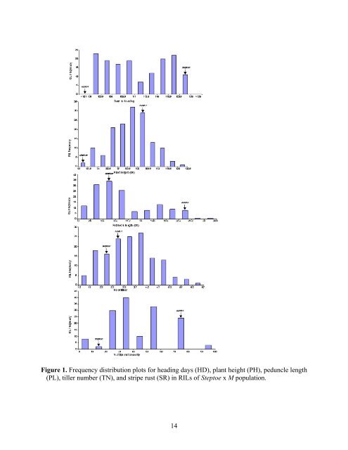 BARLEY GENETICS NEWSLETTER - GrainGenes - US Department ...