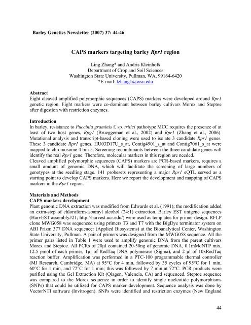 BARLEY GENETICS NEWSLETTER - GrainGenes - US Department ...