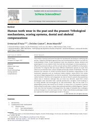 Human tooth wear in the past and the present: Tribological ...