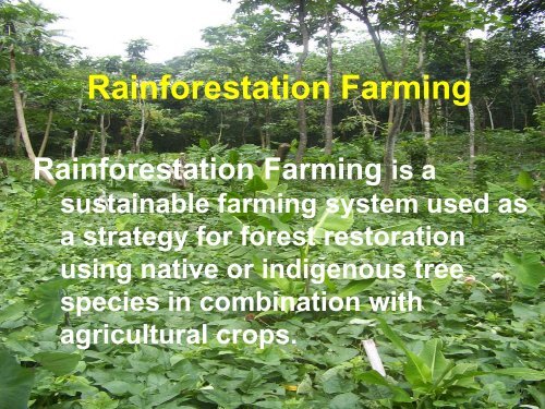A Paradigm Shift in Forest Restoration - Rainforestation