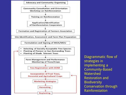 A Paradigm Shift in Forest Restoration - Rainforestation