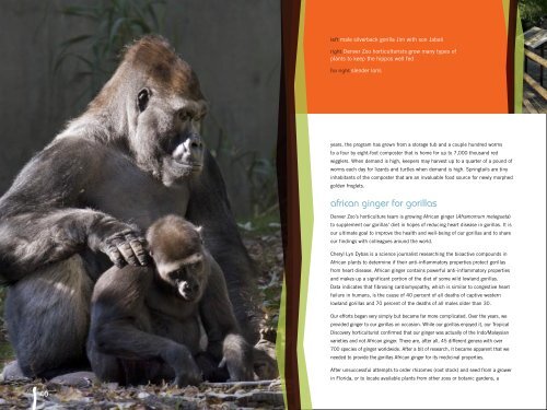 2008 Annual Report - Denver Zoo