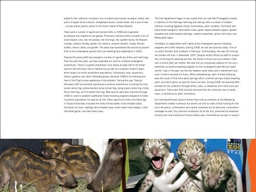 2008 Annual Report - Denver Zoo