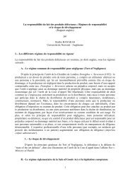 Rapport anglais - Grerca