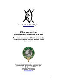 African Indaba Articles - wildlife-baldus.com
