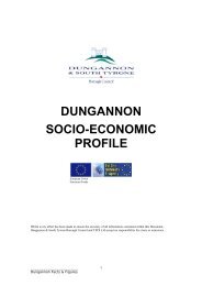 dungannon socio-economic profile - Dungannon & South Tyrone ...