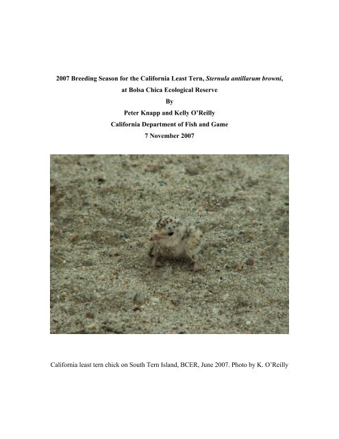 2007 Annual Monitoring Report (pdf 16MB) - Bolsa Chica Lowlands ...