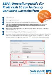 SEPA-Umstellungshilfe fÃ¼r Profi cash - Volksbank Darmstadt
