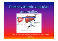 Portosystemic Vascular Anomalies