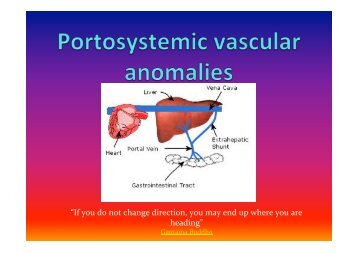 Portosystemic Vascular Anomalies