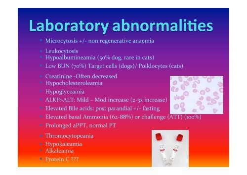 Portosystemic Vascular Anomalies