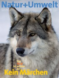 Der Wolf ist wieder da - Bund Naturschutz in Bayern eV