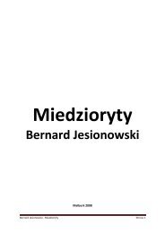 Bernard Jesionowski - Marienburg.pl