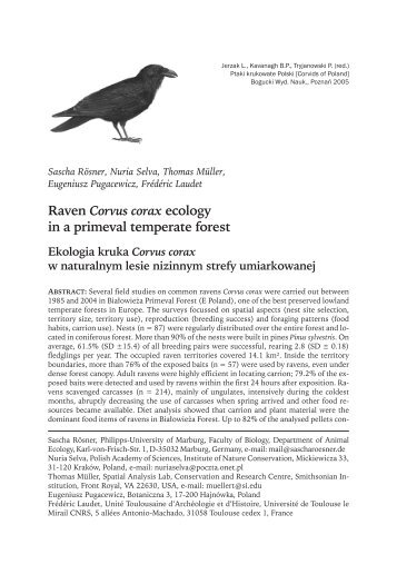 Raven Corvus corax ecology in a primeval temperate forest